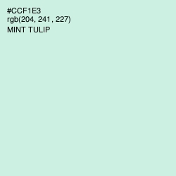 #CCF1E3 - Mint Tulip Color Image